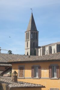 XXIX COPPA BORZACCHINI